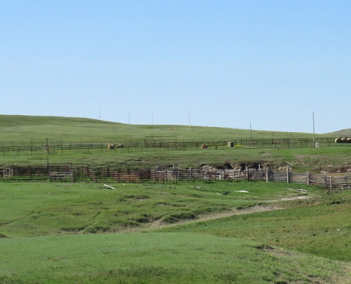Impoundment Facilities