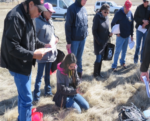 Rangeland Health Management Workshops