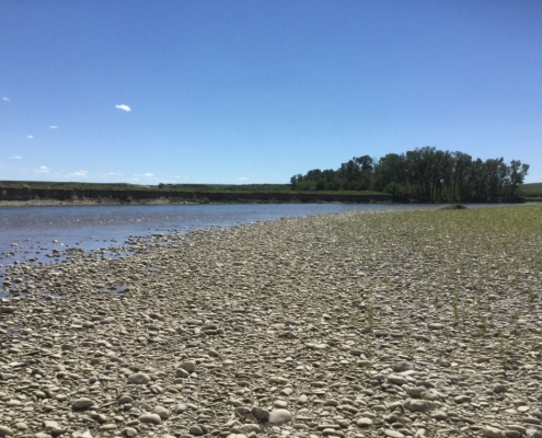 Water Source Protection