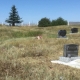 Cemetery Rejuvenation Project