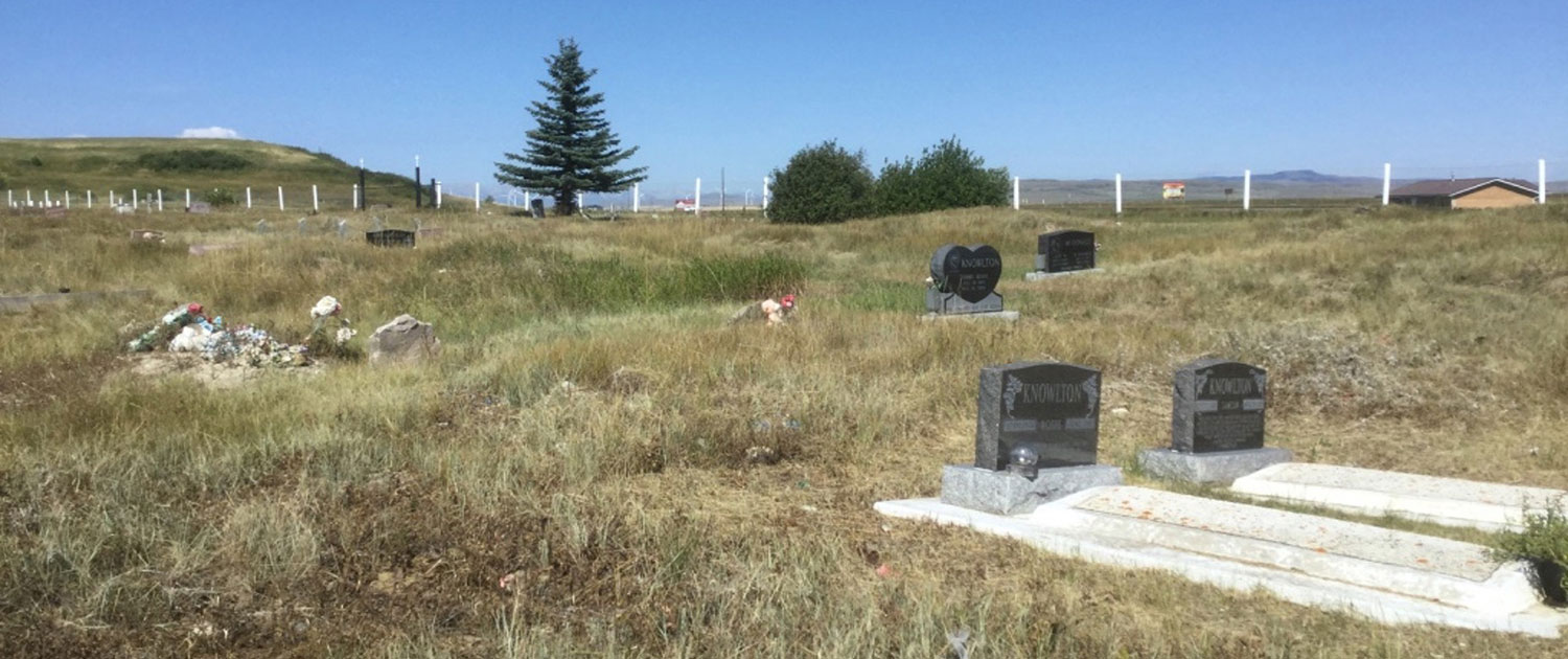 Cemetery Rejuvenation Project
