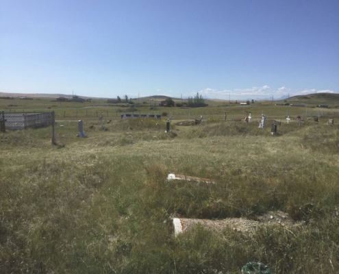 Cemetery Rejuvenation Project