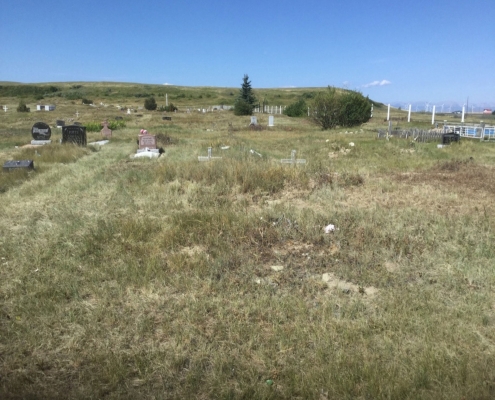 Cemetery Rejuvenation Project